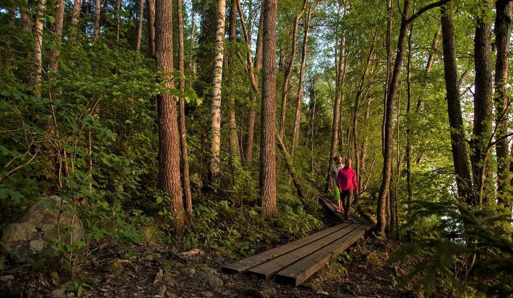 luonto2 nature trail with people in a forest